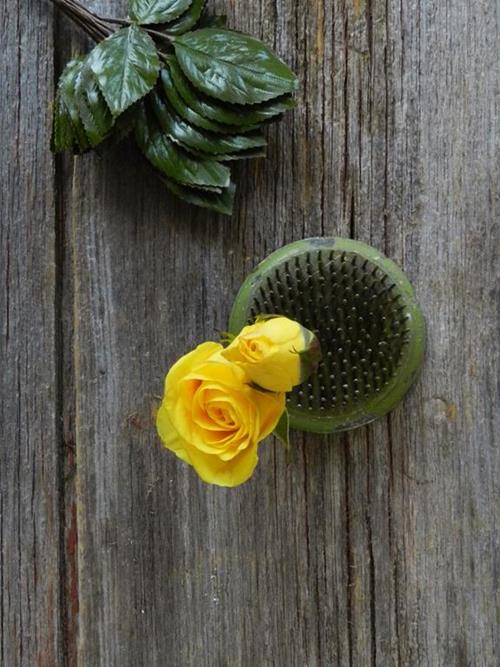  YELLOW SPRAY ROSES